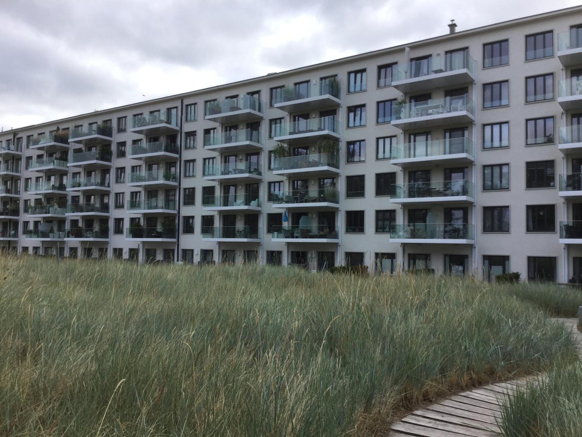 Seeadler Mit Meerblick Apartment